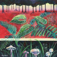 Forest Floor